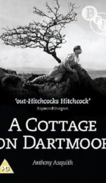 A Cottage on Dartmoor