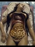 Four Unloved Women, Adrift on a Purposeless Sea, Experience the Ecstasy of Dissection