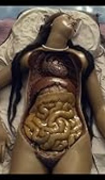 Four Unloved Women, Adrift on a Purposeless Sea, Experience the Ecstasy of Dissection