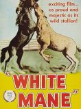 White Mane