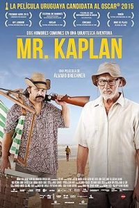 Mr. Kaplan