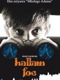 Hallam Foe