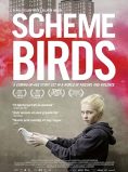 Scheme Birds