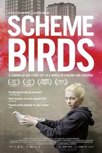 Scheme Birds