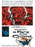 A Face in the Crowd