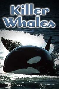 Killer Whales: Up Close and Personal