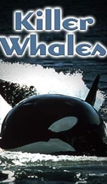Killer Whales: Up Close and Personal