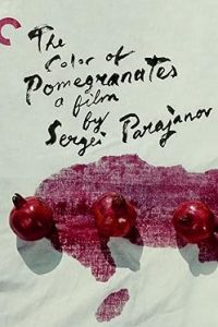 The Color of Pomegranates