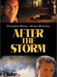 After the Storm
