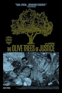 The Olive Trees of Justice