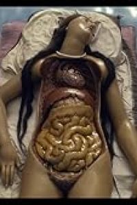 Four Unloved Women, Adrift on a Purposeless Sea, Experience the Ecstasy of Dissection