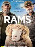 Rams