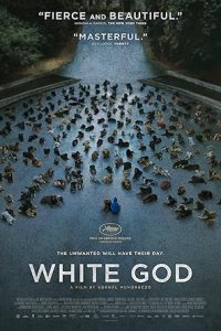 White God