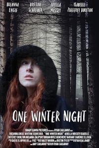 One Winter Night