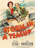 Storm in a Teacup