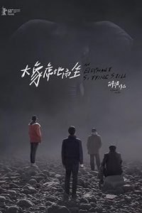 An Elephant Sitting Still