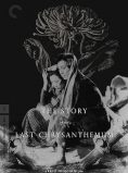 The Story of the Last Chrysanthemum