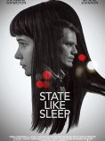 State Like Sleep