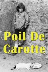 Poil de carotte