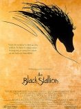 The Black Stallion