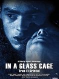 In a Glass Cage