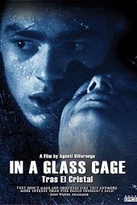 In a Glass Cage