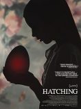 Hatching