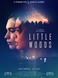 Little Woods