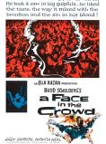 A Face in the Crowd